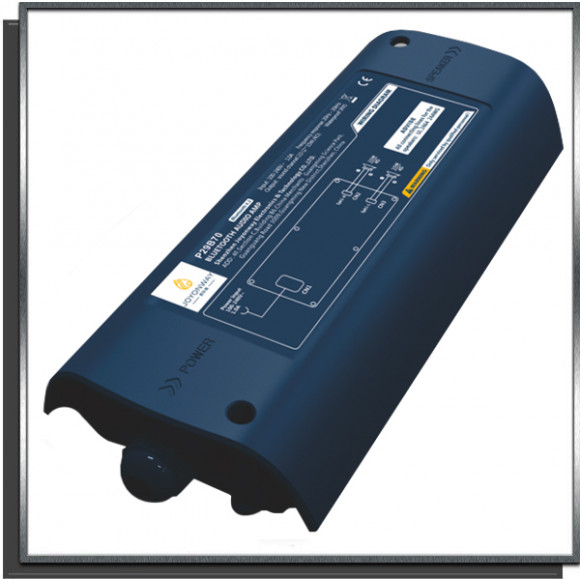 Amplificateur Bluetooth 2.0 AMP avec câble système de son spas WELLIS