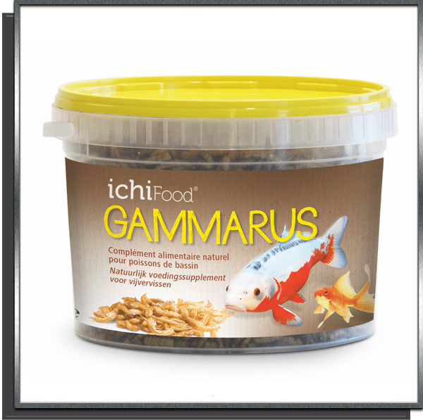 Ichi Food Gammares 1L